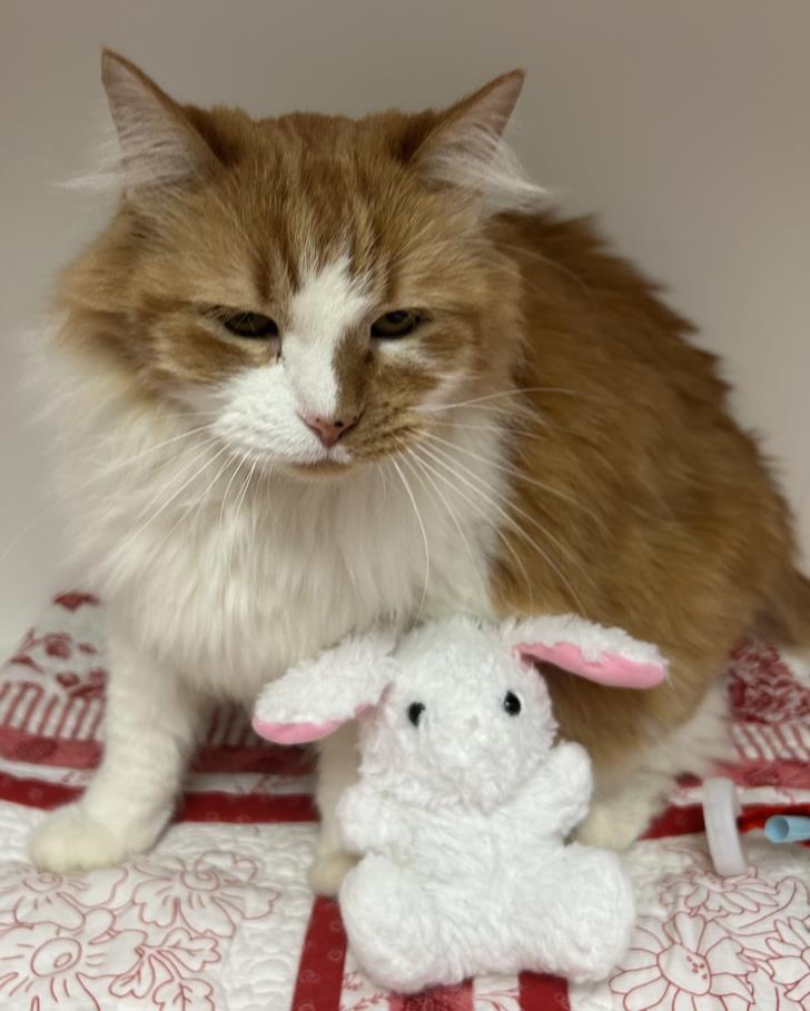 Off the Clock tweet media