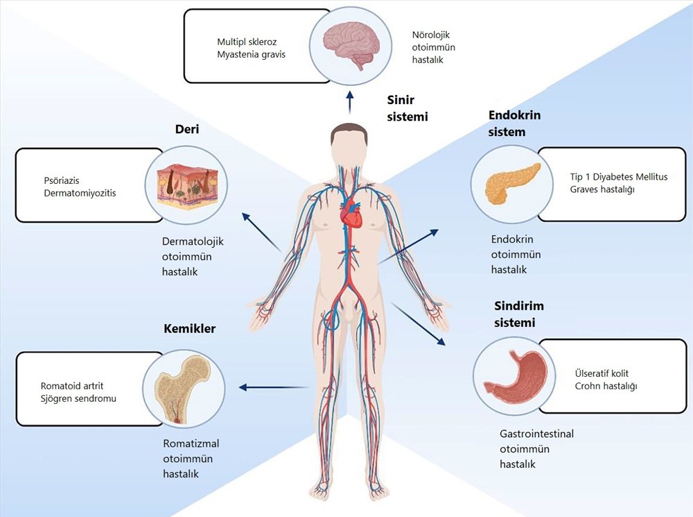 Abdullah T.R tweet media