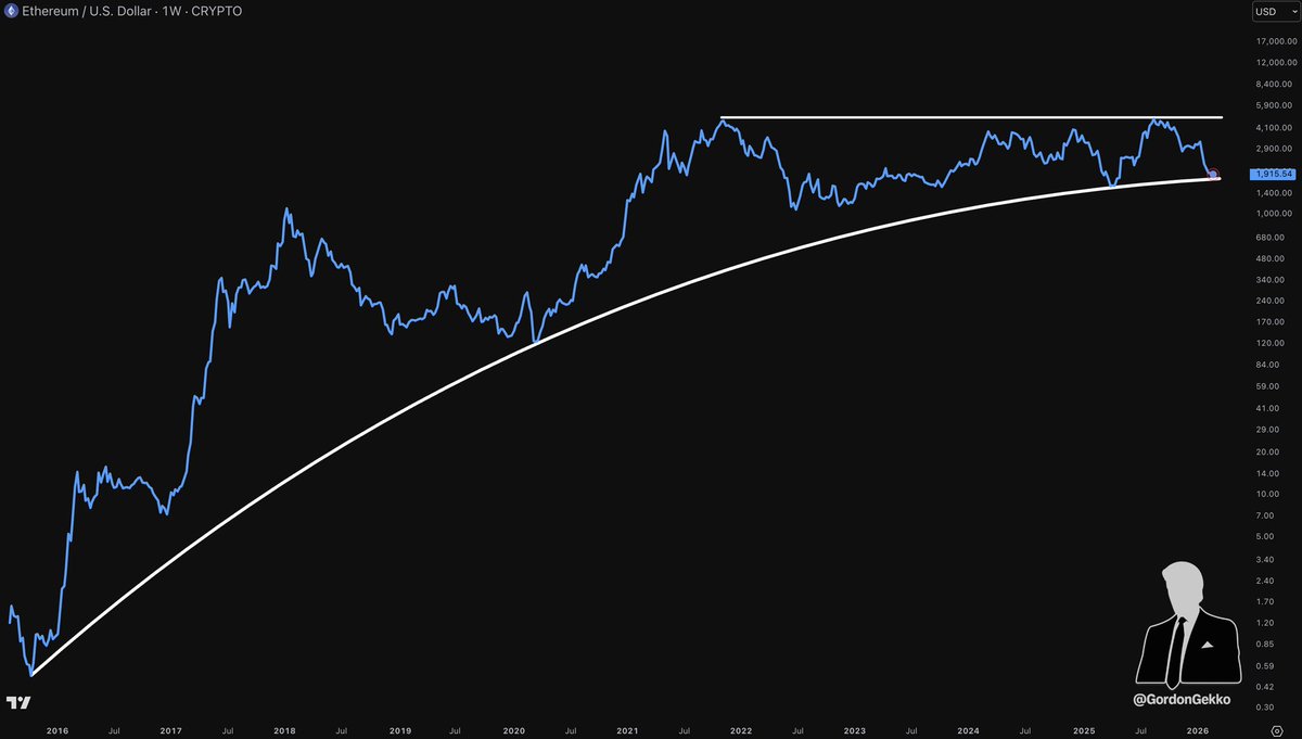 Gordon 🐂 tweet media