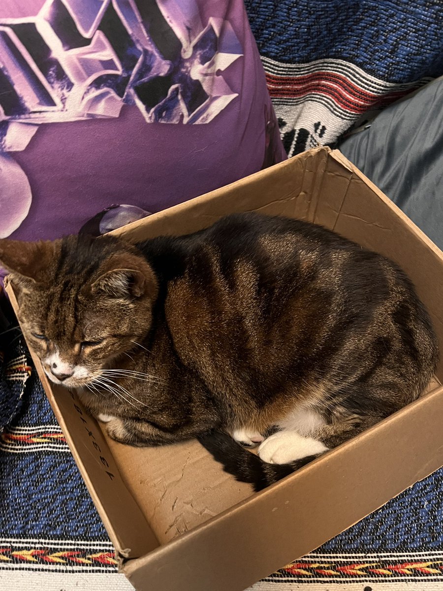 Steve Petch tweet media