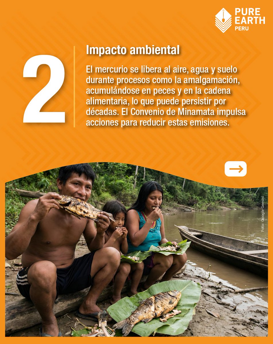 PureEarthPeru's tweet image. (1/4)▶️ En este Día Internacional del Compromiso por el Control del #Mercurio, recordemos que reducir su uso es una prioridad global debido a su impacto en la salud humana, el medio ambiente y la economía. 

#PureEarthPerú #PureEarth #PerúLibreDeMercurio #SaludAmbiental