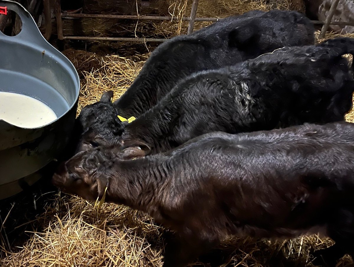 CAP Network Ireland tweet media