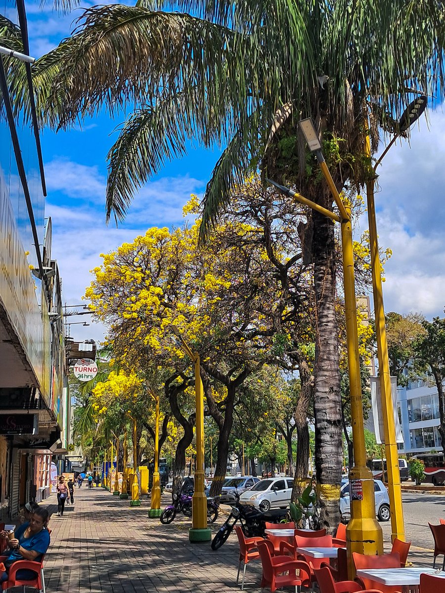 Valencia cuando se viste de amarillo
💛💛💛