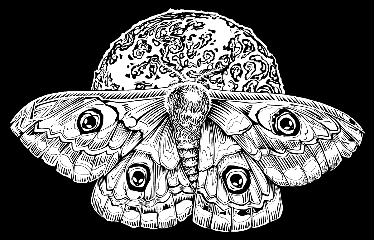 Todd Slater tweet media