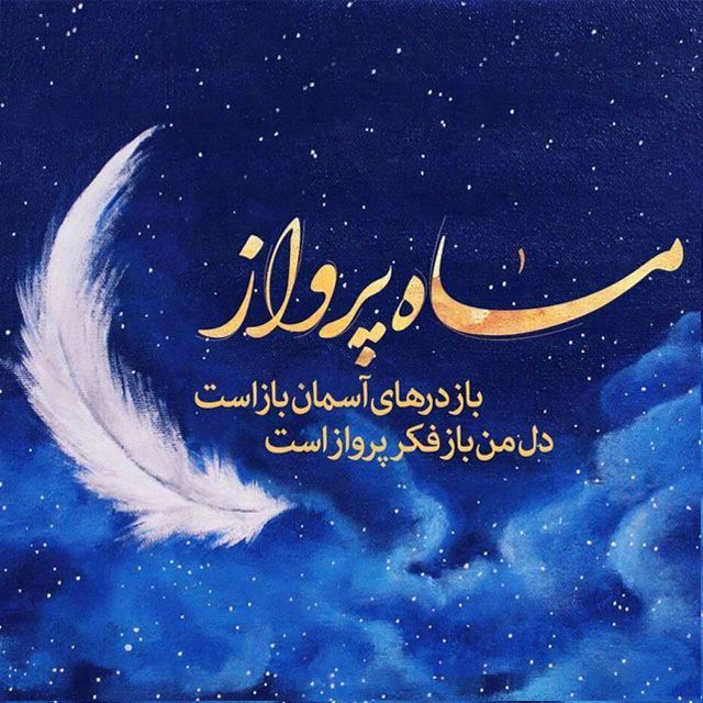 ✨محیام✨🟩☫🟥 tweet media