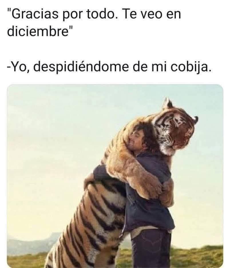 El Meme (@memessv7) on Twitter photo 