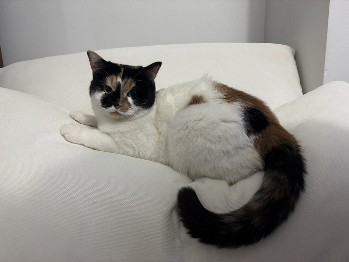 Ben dory.
doriş.
doritos.