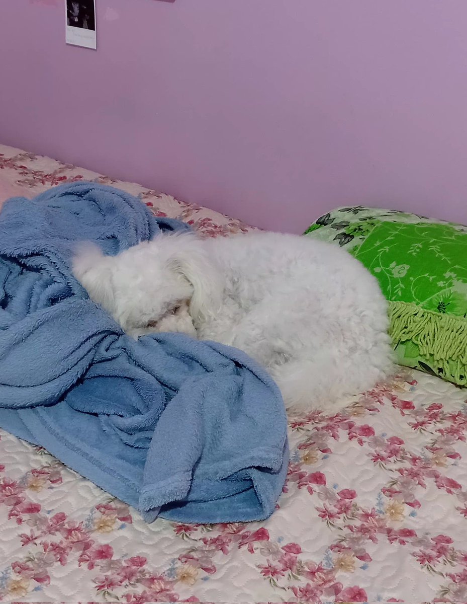 bom dia gente! tô fazendo redação enquanto a minha parceira de estudos dorme na minha cama