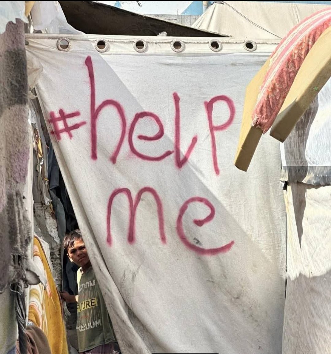 🇵🇸Kamel ayyad 🇵🇸 tweet media