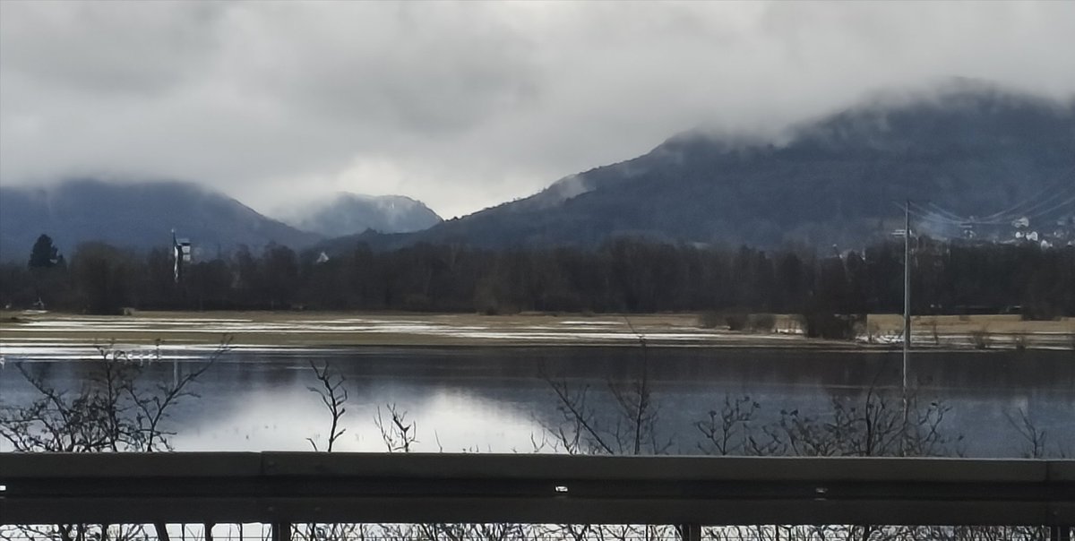 coco.Lores 1 tweet media