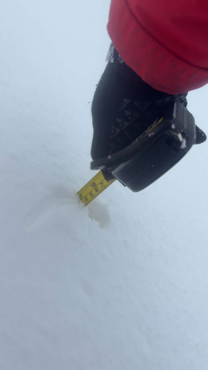 ⚡️Landolfi tweet media