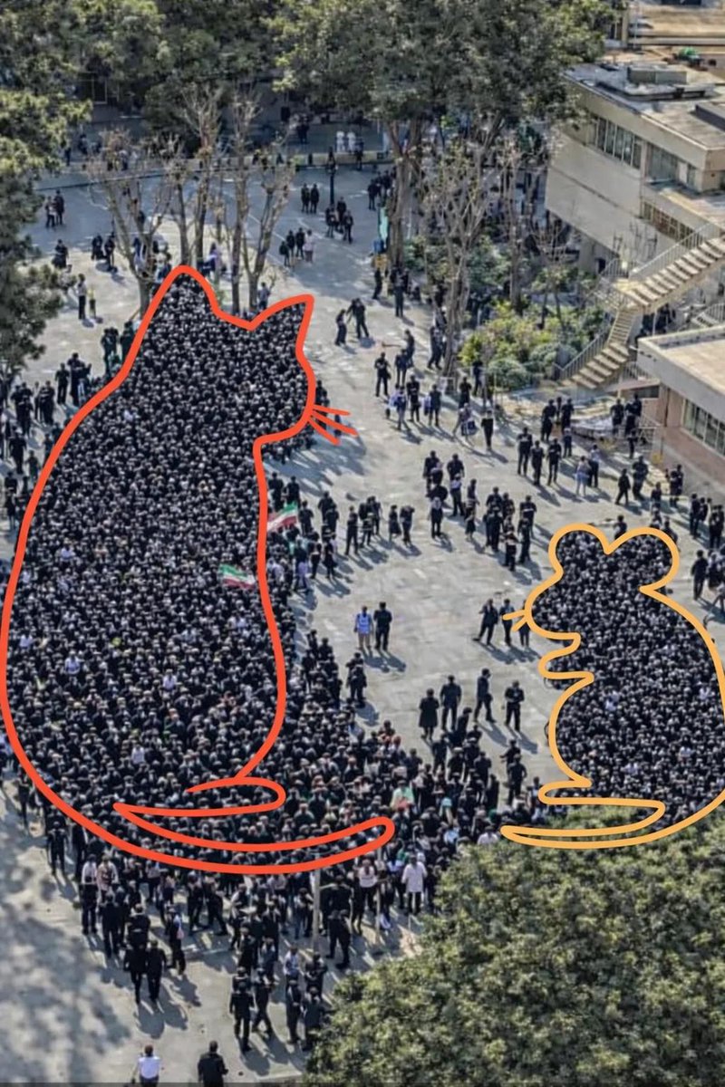 👑شهبانو آزادی👑 tweet media