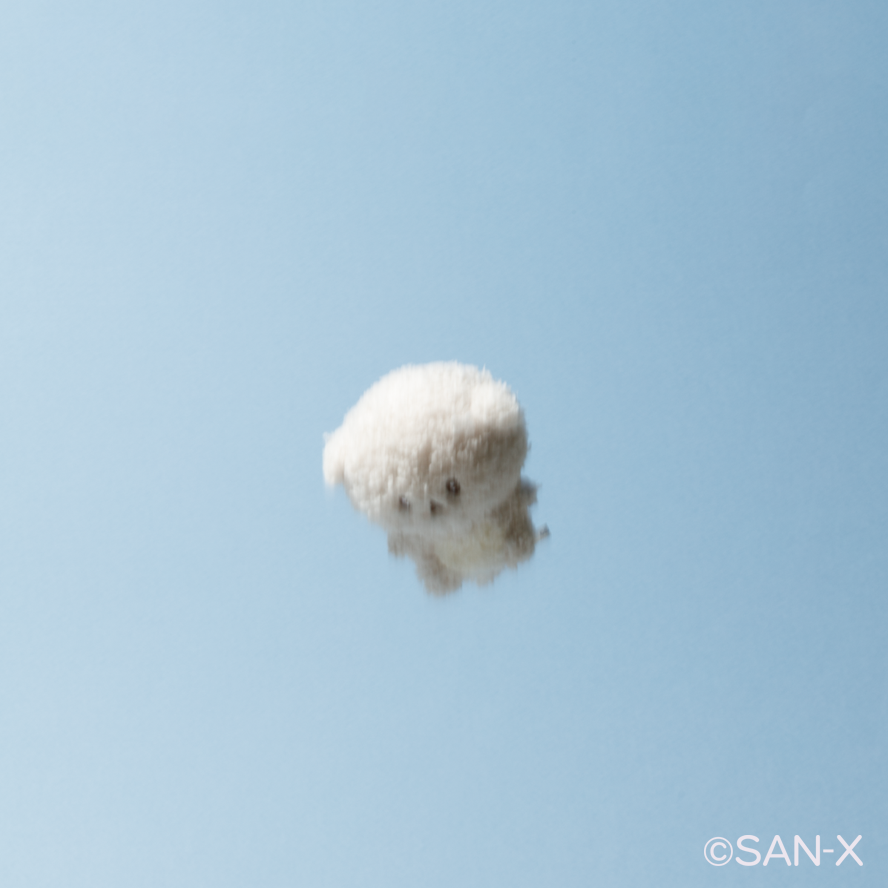 いしよわちゃん【公式】 tweet media