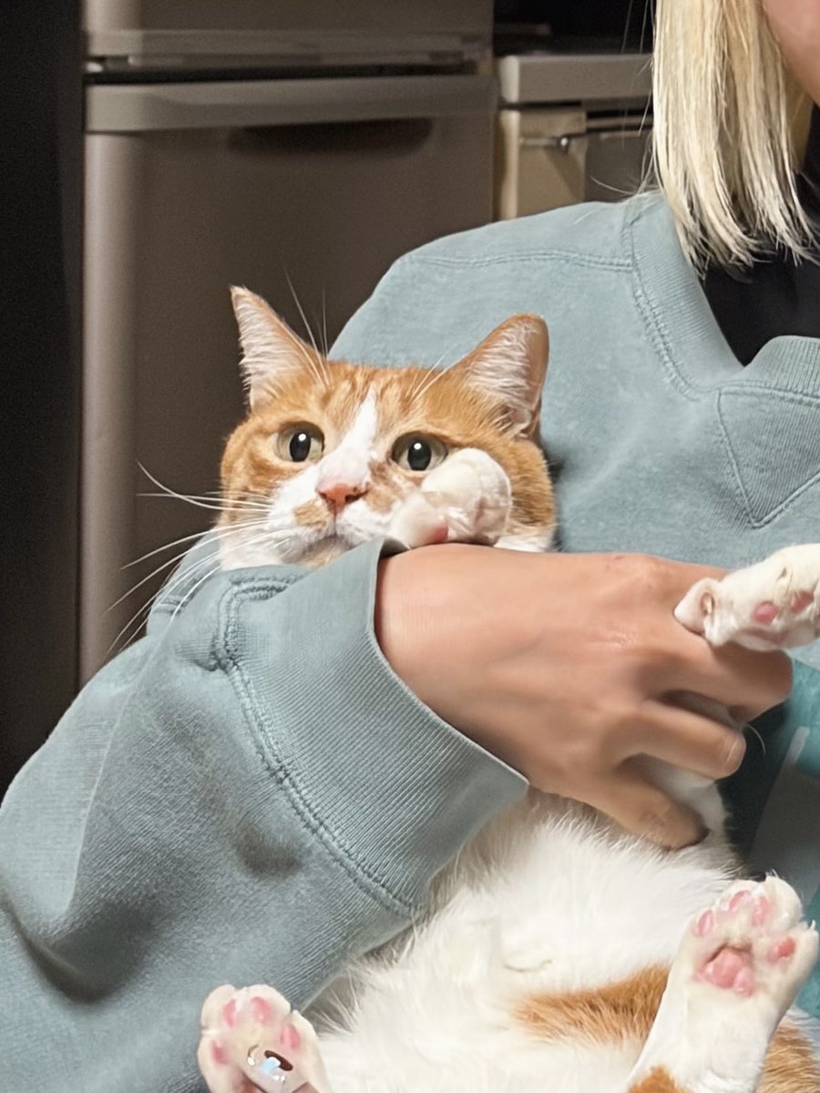 みち草 tweet media