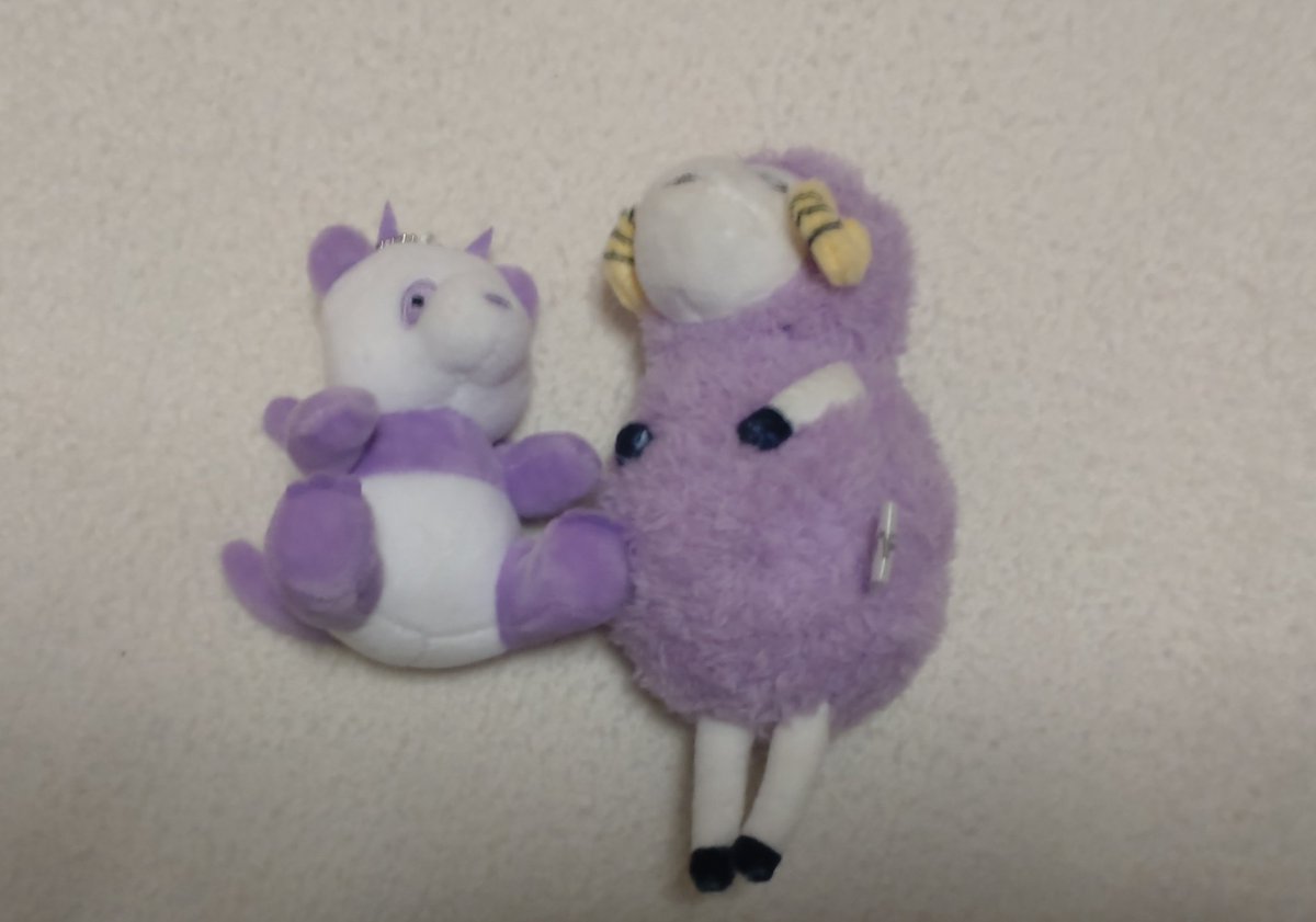 トリ🐥 tweet media