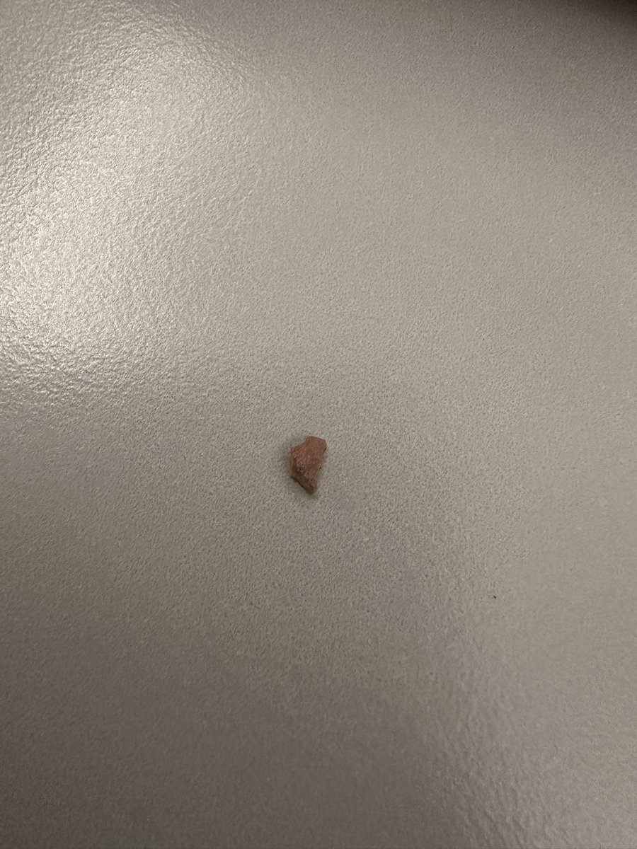 sernobil tweet media