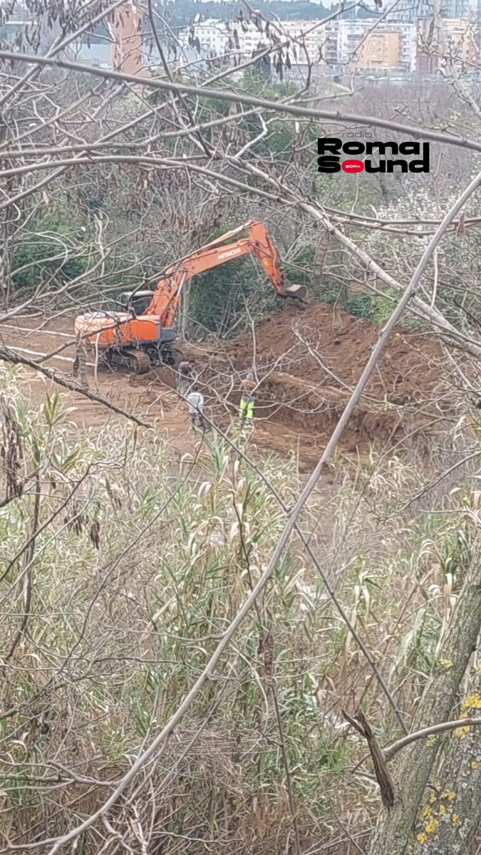 Dopo molti mesi di stop
sono ripresi stamattina nell'area dell'ex demolitore gli scavi archeologici a #Pietralata #StadiodellaRoma