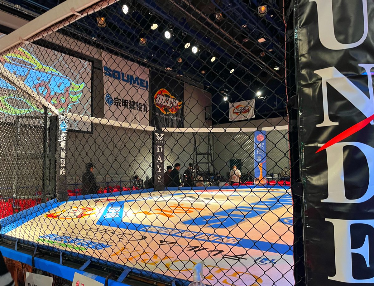 ばっくすぴん らびっと tweet media