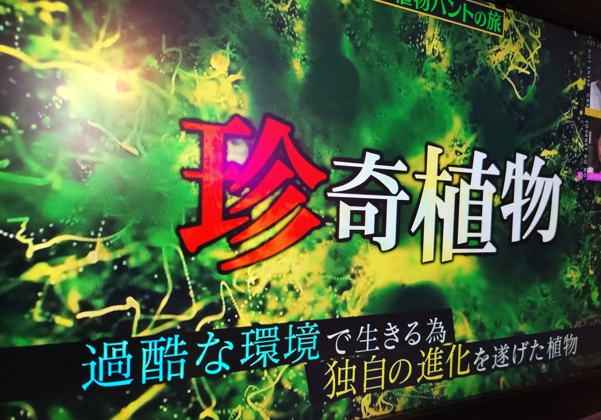 パンゲラゴ山 (@pleios) on Twitter photo 