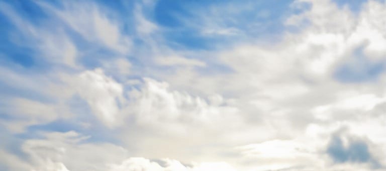 The Cinéprism tweet media