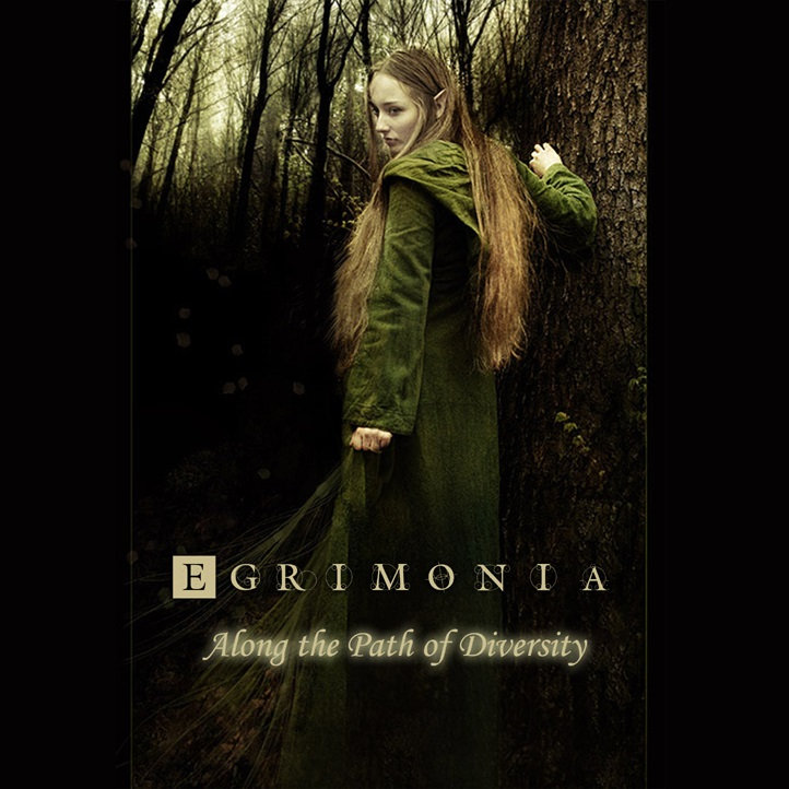 youtu.be/H3kX5d73bWc
Egrimonia / Symphonic Gothic/Black Metal / Poland
#GothicMetal #MelodicBlackMetal #PolandMetal