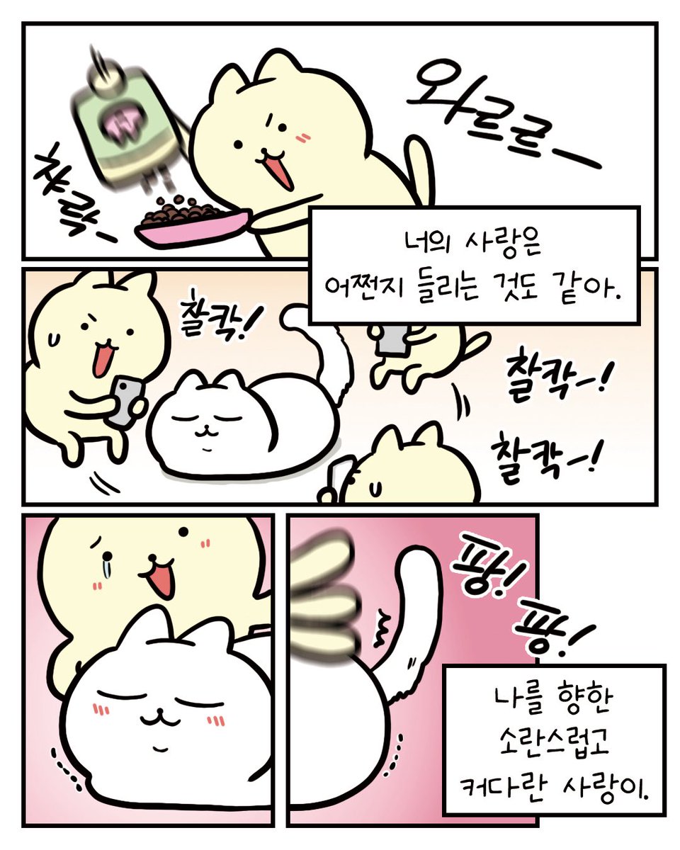 하얀 고양이 만화