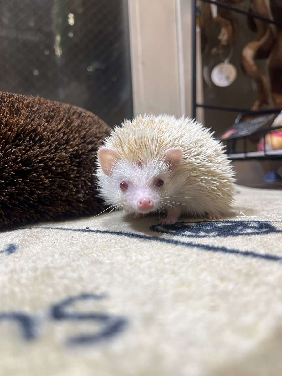 本日もご来店いただき誠にありがとうございました🙇 明日も13時〜19時