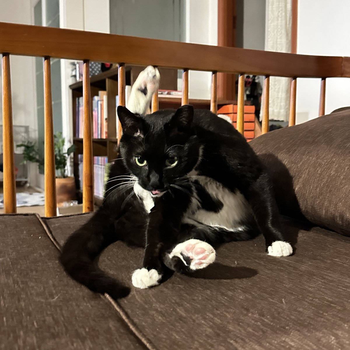 가족찾는 궁이🖤 tweet media