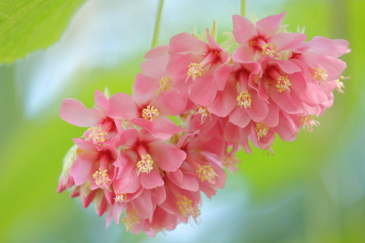 naga (@n_naga) / Posts / X