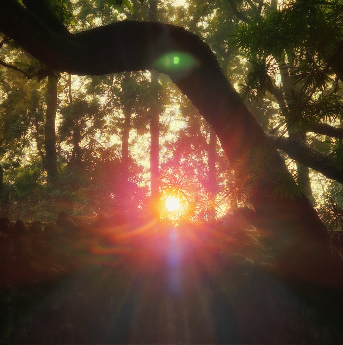 It’ll be summer soon