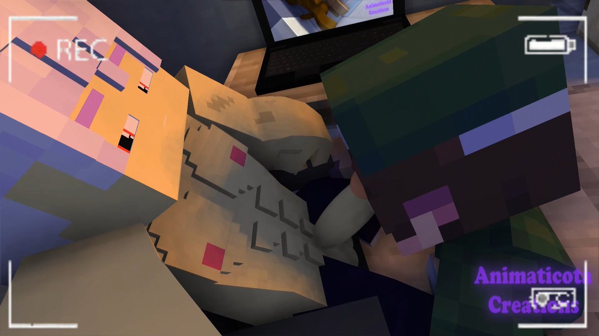 Animaticota tweet media