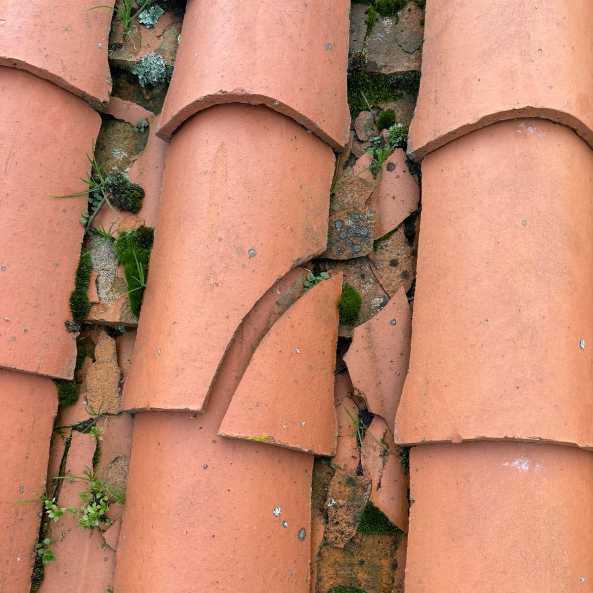 GabardMartial's tweet photo. Des tuiles endommagées peuvent causer des fuites d'eau et des dégâts coûteux. Nous sommes là pour réparer vos tuiles rapidement et efficacement. Protégez votre maison avant les pluies ! #Couvreur #Toiture #Réparation #Tuiles #Maison #ProtégerVotreMaison https://t.co/P8q6EOR3m3