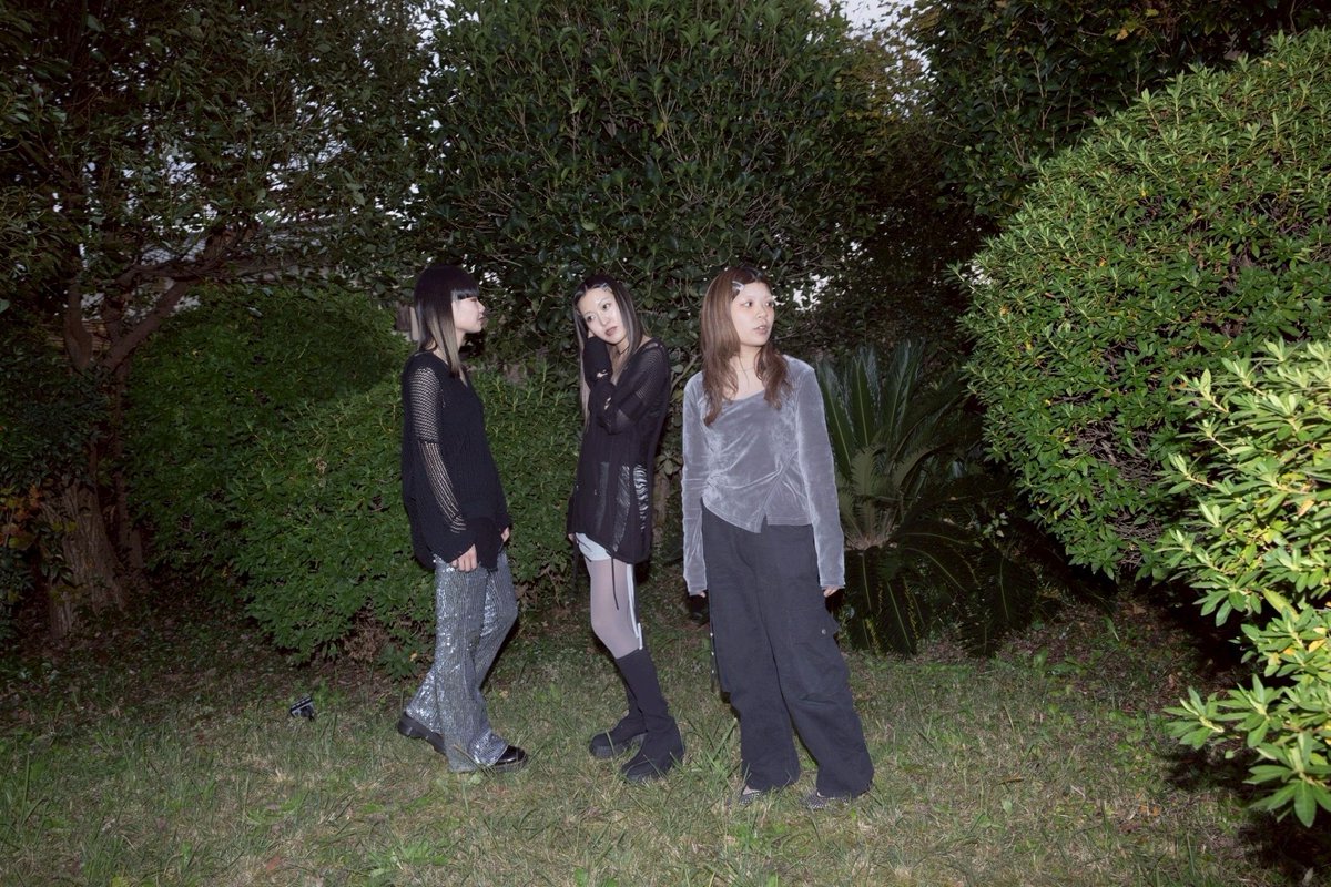 schizophragm tweet media