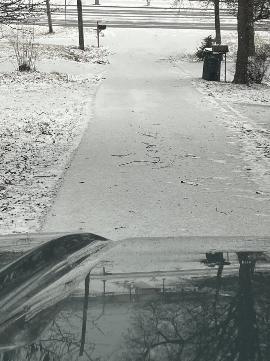 Shannon Piedmont tweet media