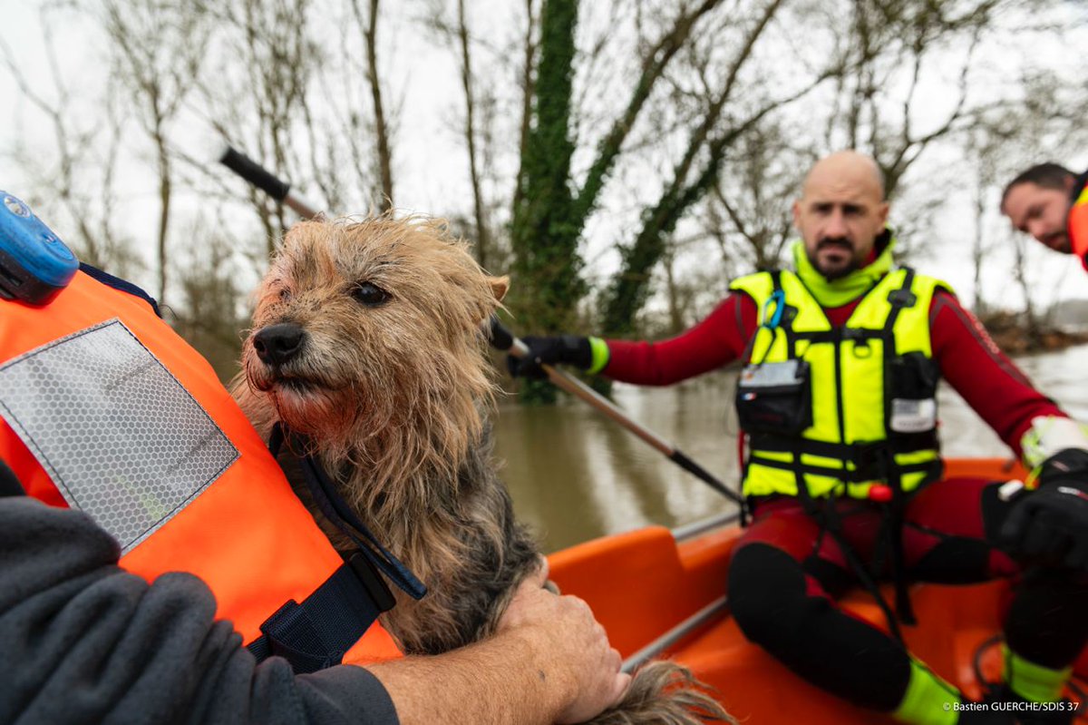 Sécurité Civile tweet media