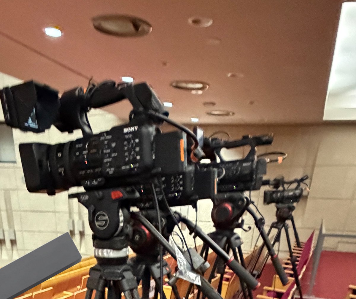 ただのわかめ。 tweet media