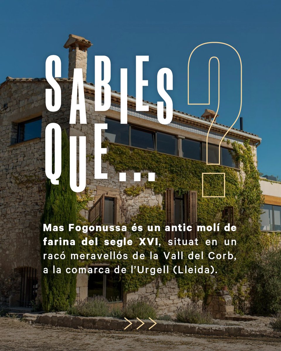 RutadelVideLleida tweet media