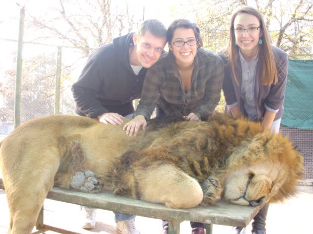 make argentina gay again tweet media