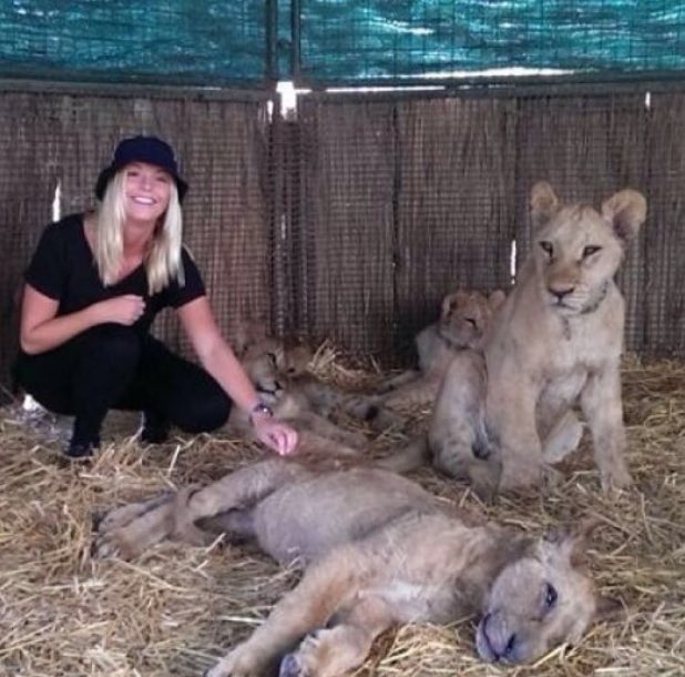 make argentina gay again tweet media