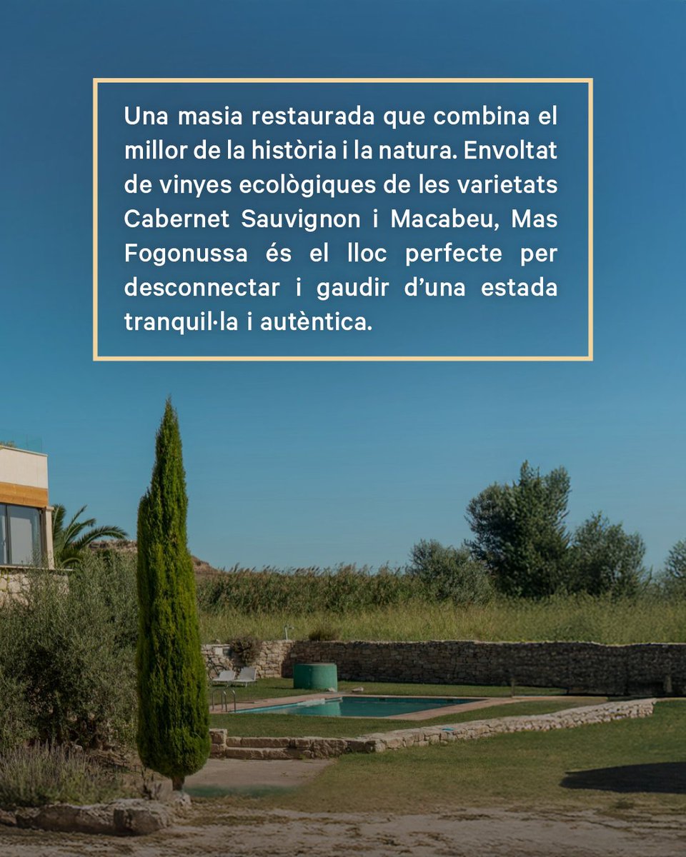 RutadelVideLleida tweet media