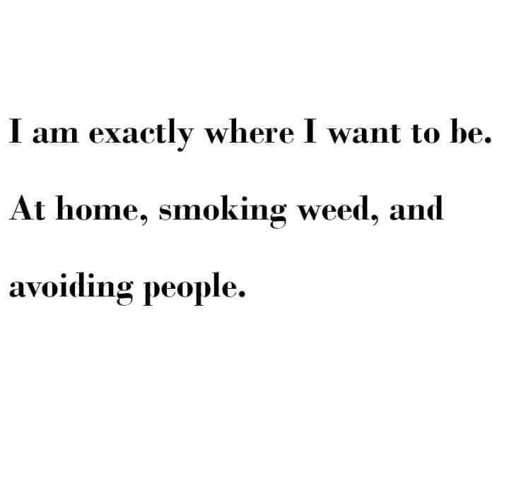 Stoner Barbie (@stonersvilla) on Twitter photo 