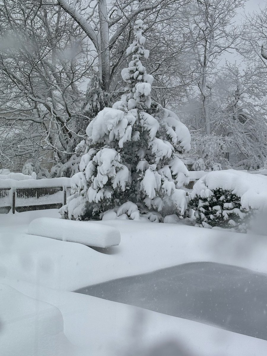 Bob Schiers tweet media