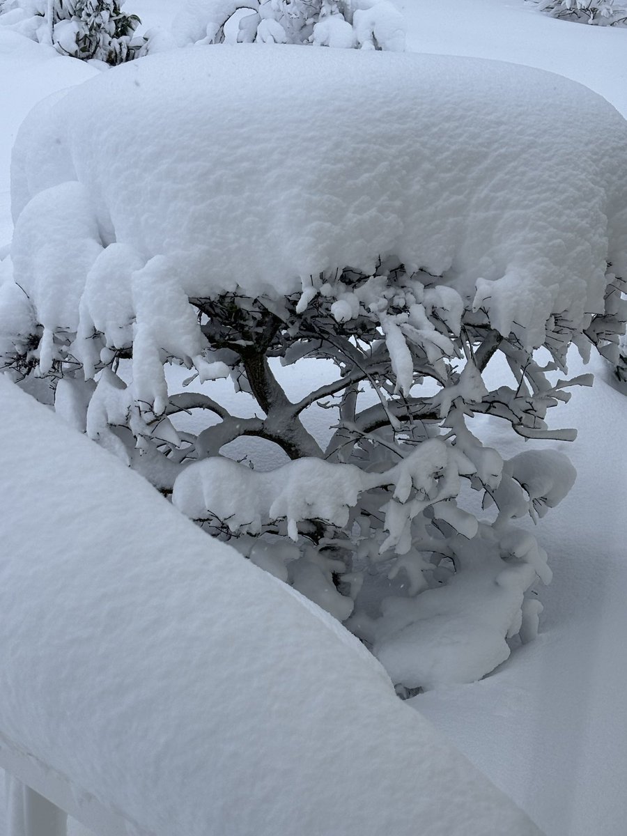 Bob Schiers tweet media