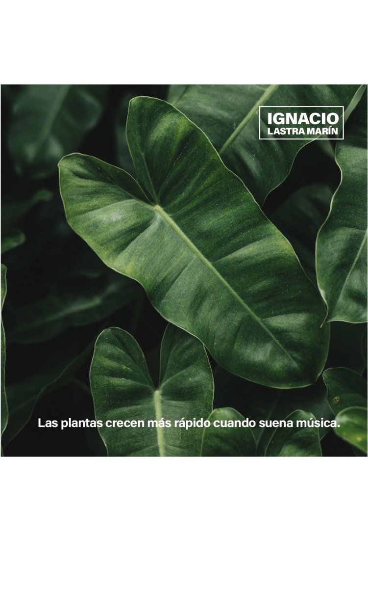 #Familia 🌱

👏Vivan lo mejor en esta semana 👏

#NachoLastra 🌱