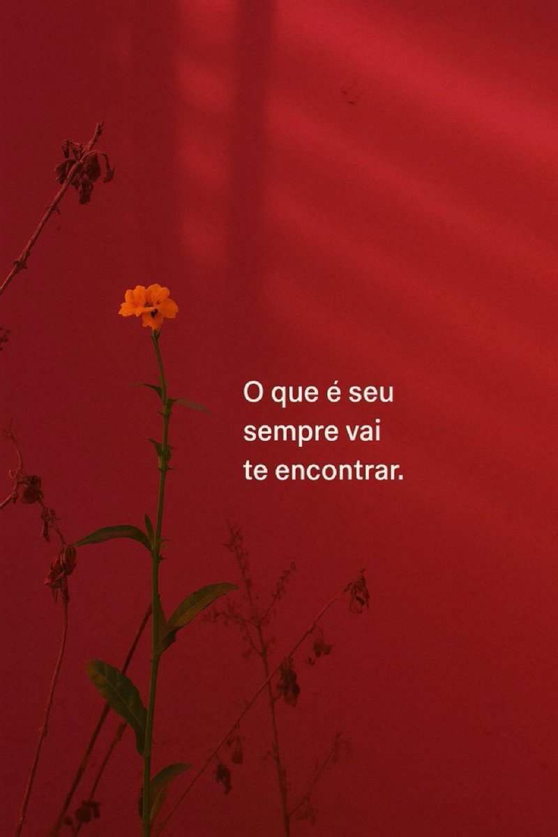 soulembrancas's tweet photo. https://t.co/JI7Ua9ioYE
