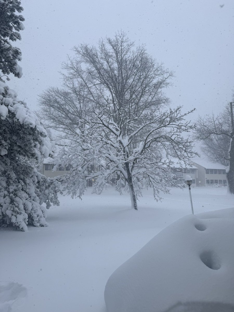 jwkaye23's tweet image. Good morning! Despite all the snow WFH the show still goes on! 🤷🏽‍♂️
#nodaysoff 💪🏾