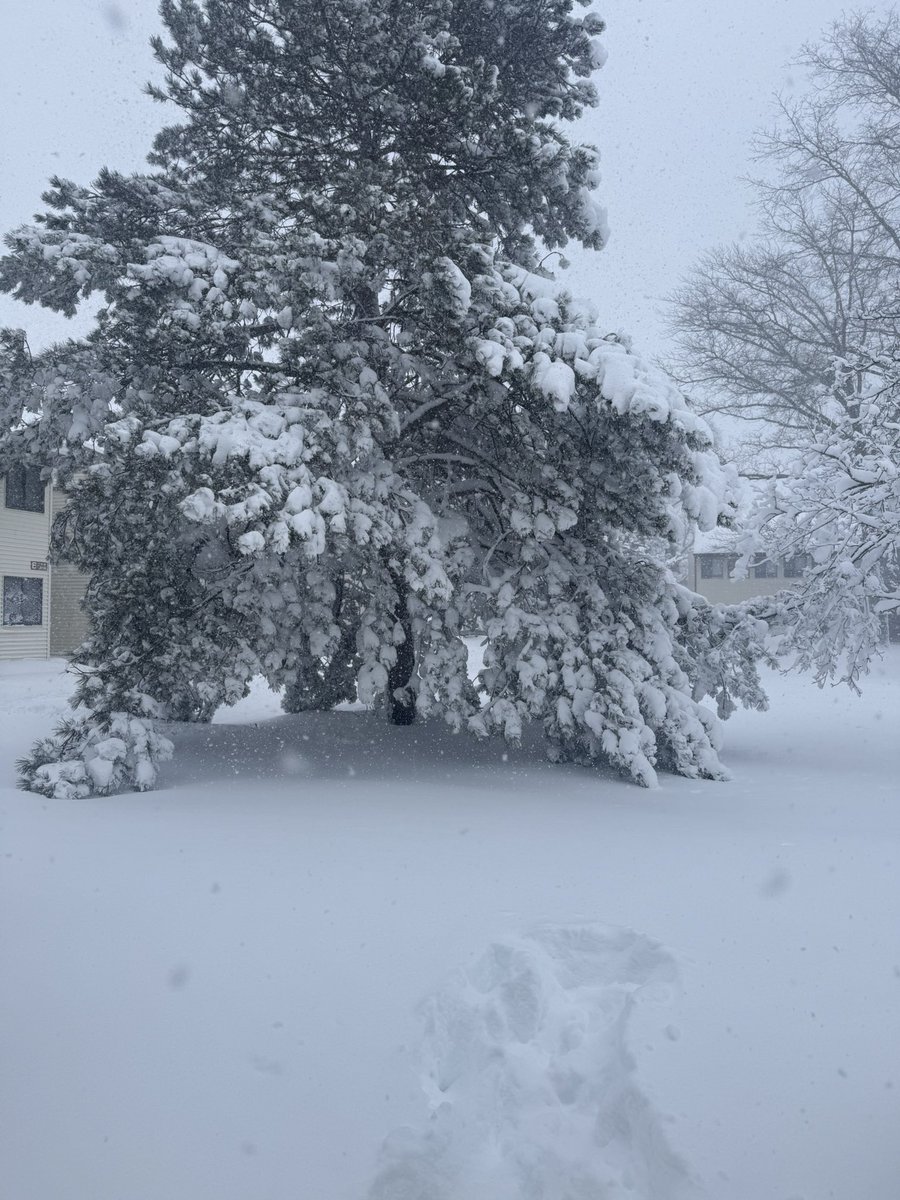 jwkaye23's tweet image. Good morning! Despite all the snow WFH the show still goes on! 🤷🏽‍♂️
#nodaysoff 💪🏾