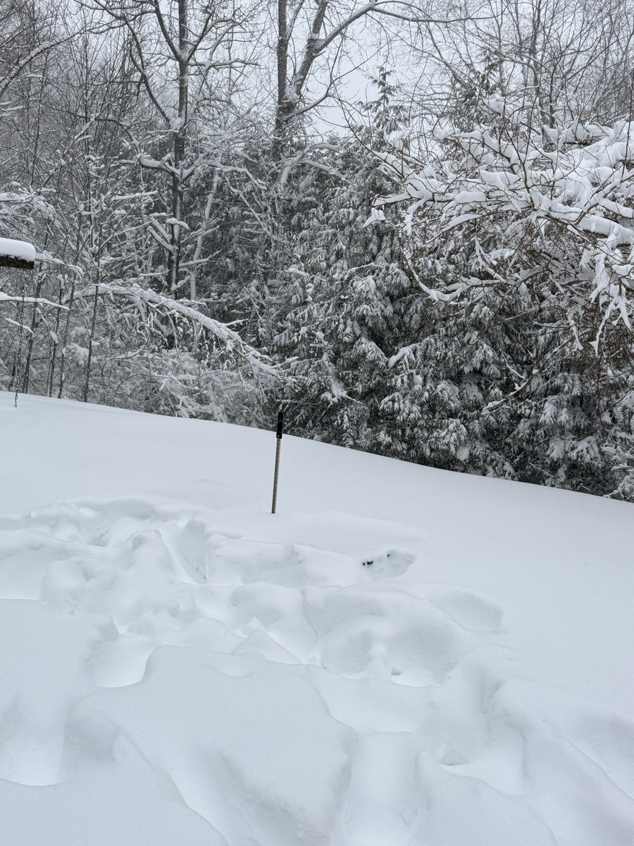 Hayds1221's tweet photo. [8 AM] 1.5” of new snow in the past hour bringing storm total snowfall up to 9.2”. Snowing with a current temperature of 26 degrees. @NWSBoston @WX1BOX https://t.co/KTMy8B6KdW