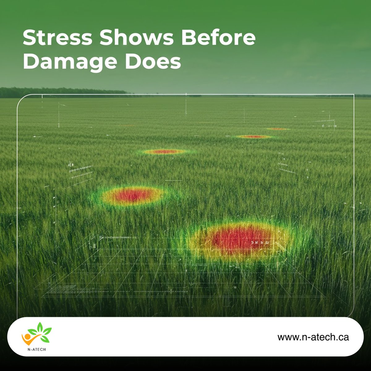 n_atech's tweet photo. Crop stress starts before it’s visible.

With NDVI and advanced spectral analysis, N-Atech detects early vegetation changes—so you can act before yield loss impacts profitability.

#CropHealth #NATECHMonitoring #EarlyDetection #CanadaAgTech #PrecisionFarming #YieldProtection https://t.co/4aWLoXSljT
