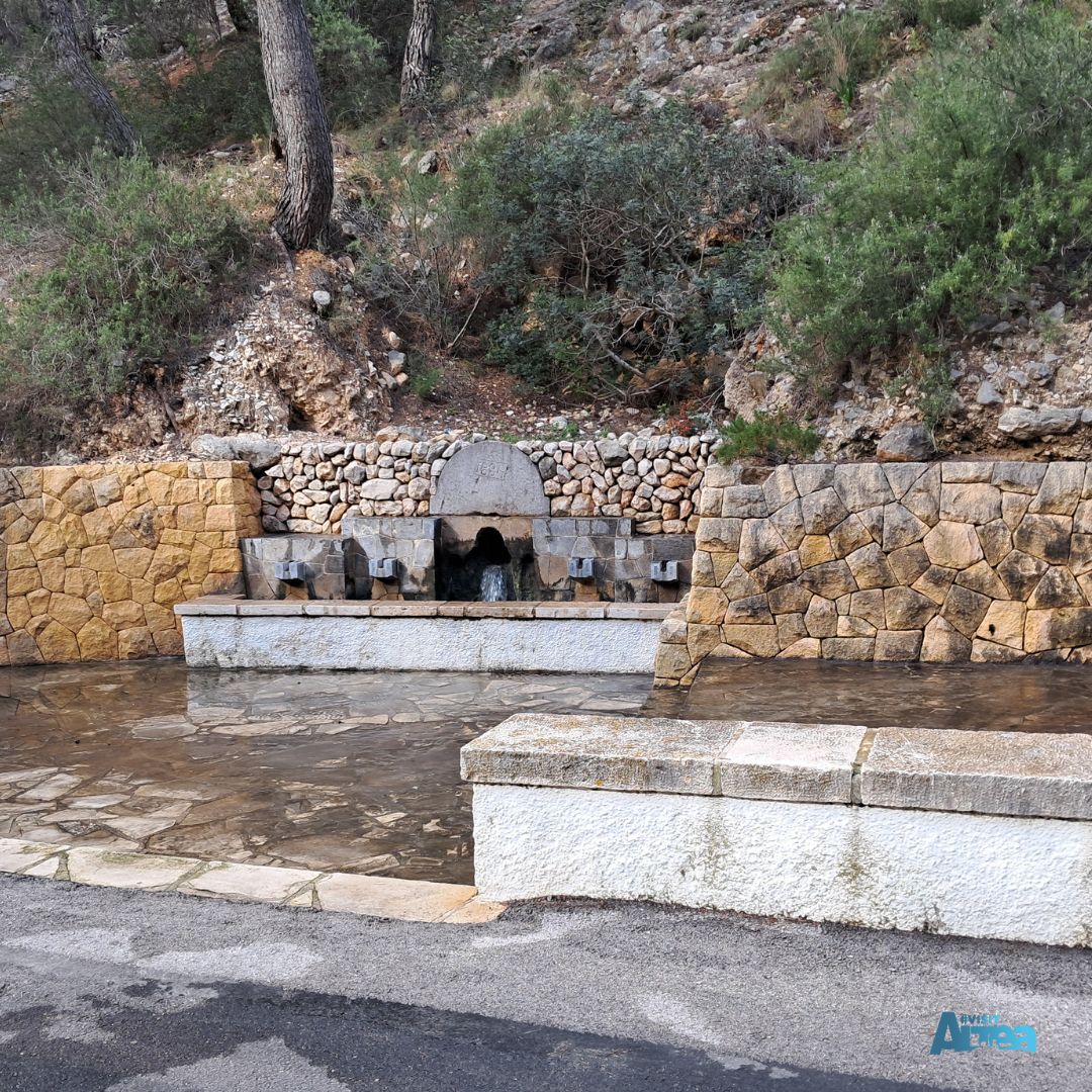 VisitAltea tweet media